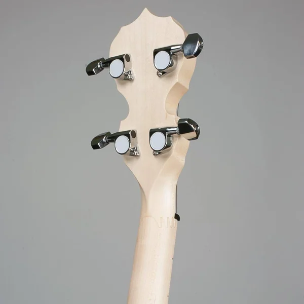 Deering Goodtime 19-Fret Tenor Banjo Satin