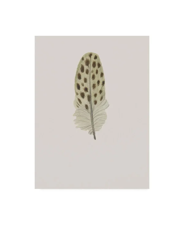 Trademark Fine Art Ic01713-C2432Gg Incado 'Feather 10' Canvas Art, 24X3