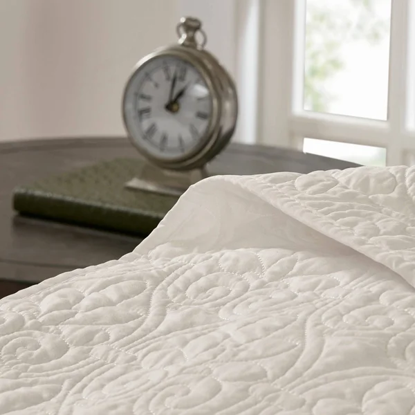 Madison Park Quebec Coverlet Mini Set, Ivory, Twin/XL