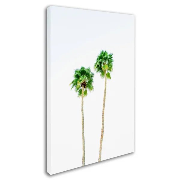 Trademark Fine Art Am0303-C2232Gg Ariane Moshayedi 'Palms 4' Canvas AR