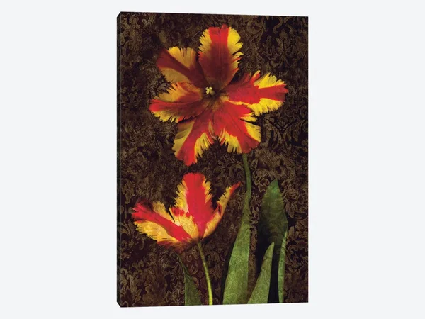 John Seba Canvas Wall Decor Prints - Decorative Tulips II ( Floral & Botanical > Flowers > Tulips art)