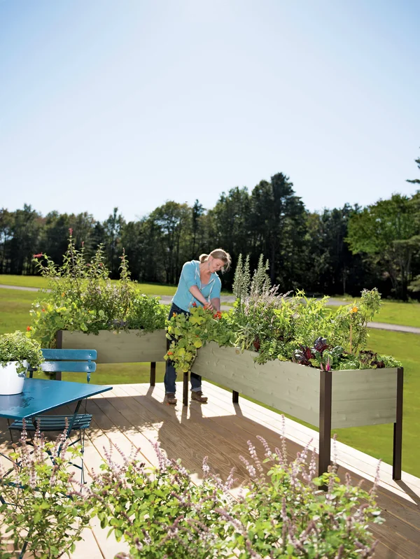Eco-Stained Elevated Cedar Planter Box 2 ft x 8 ft - Elevated Planters, Gardener's Supply Company