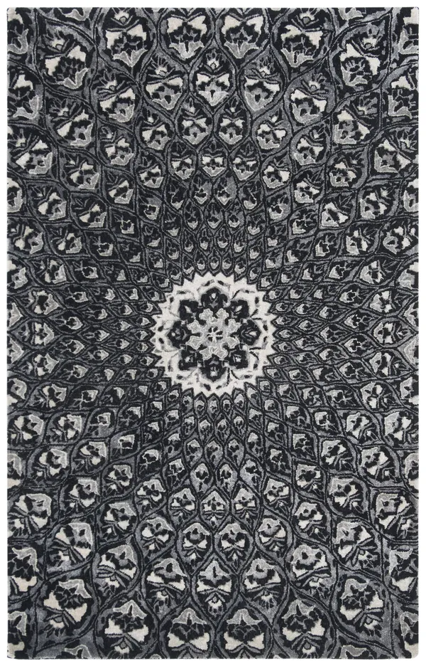 Safavieh 4& x 6& Alr-Allure ALR419Z Ivory, Black Rug