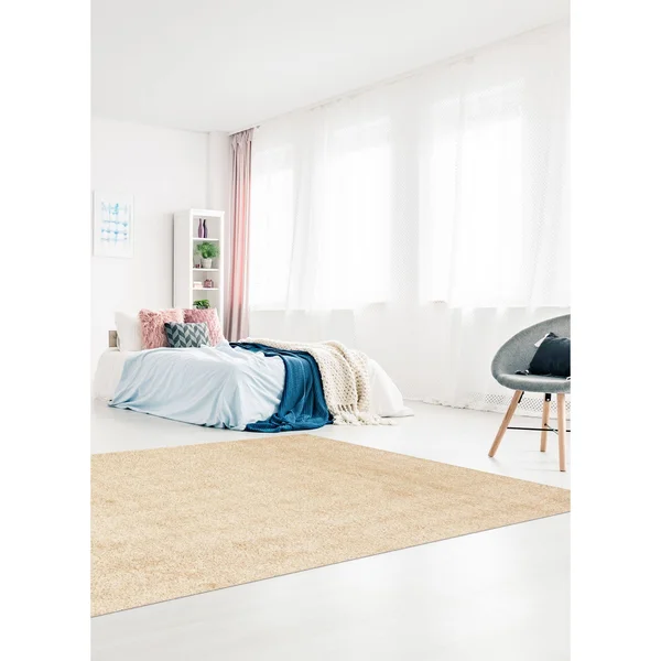 ECARPETGALLERY Cleo Shag 5'3 x 7'6 Area Rug in Tan