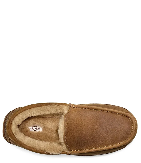 Ugg Ascot Tan, Men's, Size: 17, Brown