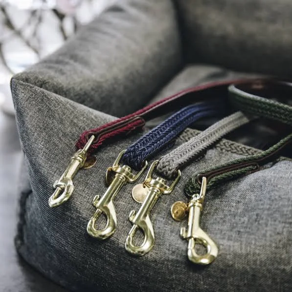 Kentucky Dog Lead Plaited Nylon