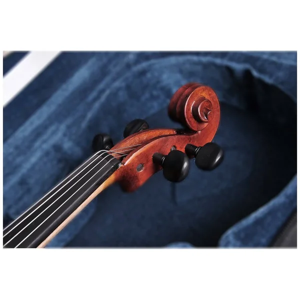 AplusBuy 4/4 Full Size Handmade Violin Stradivari Copy Style Fiddle Case Bow Set
