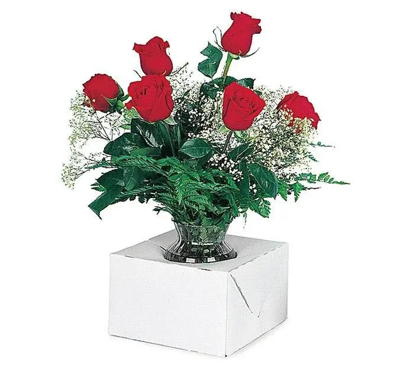 Burton & Burton Holder-White Auto Vase Holder 100 ct