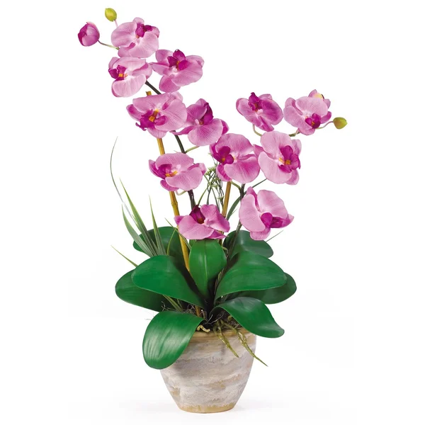 Nearly Natural Double Stem Phalaenopsis Silk Orchid Arrangement Mauve