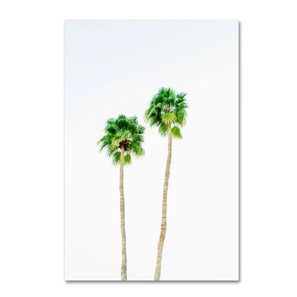 Trademark Fine Art Am0303-C2232Gg Ariane Moshayedi 'Palms 4' Canvas AR