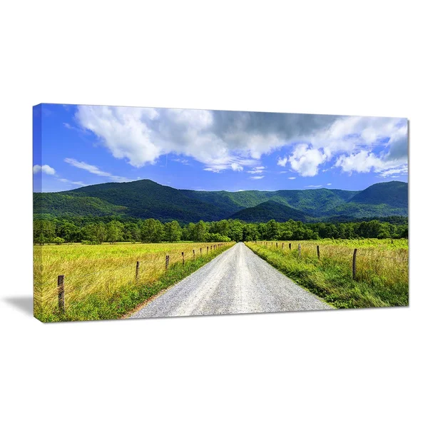 Design Art &Sparks Lane in Cades Cove& Photographic Print on Wrapped Canvas, Green