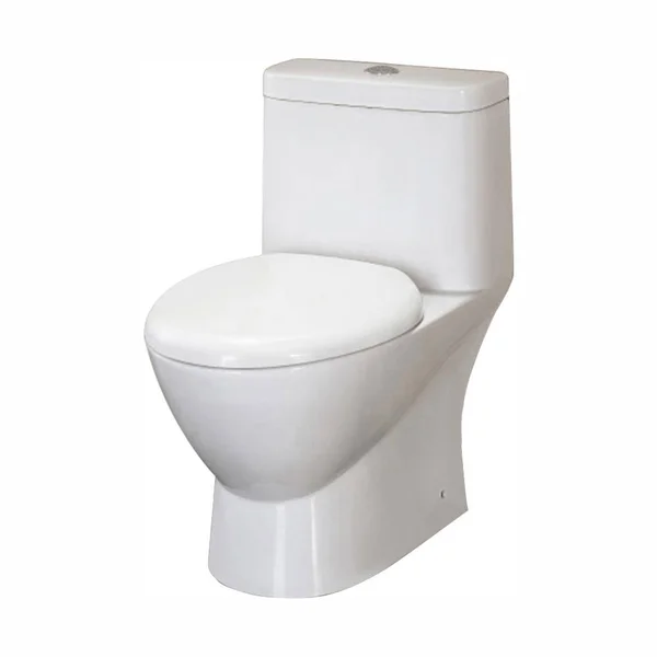 Ariel Platinum Tb346m &Adriana& Toilet with Dual Flush