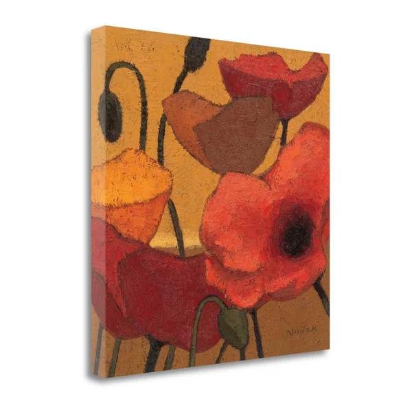 24x22 x 24x22 Poppy Curry II by Shirley Novak Fine Art Giclee Print