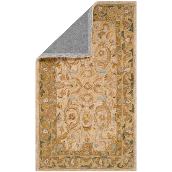 Safavieh AN576B Anatolia Area Rug - Ivory, Brown: 8-ft x 10-ft