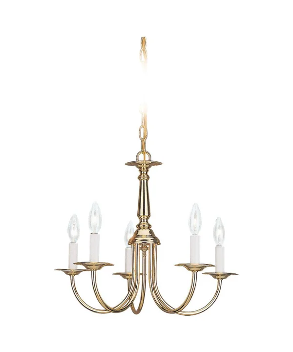 Sea Gull Lighting - 3916-02 - Five Light Chandelier Polished Brass