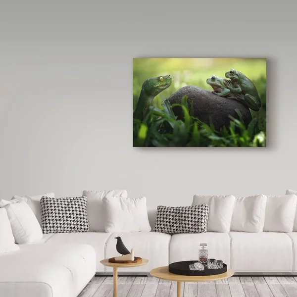 Trademark Fine Art Fahmi BHS 'Frogs Curiosity' Canvas Art - Multi-Color, Size: 16 x 24
