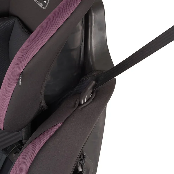 Evenflo Maestro Sport Harness Booster Car Seat - Whitney