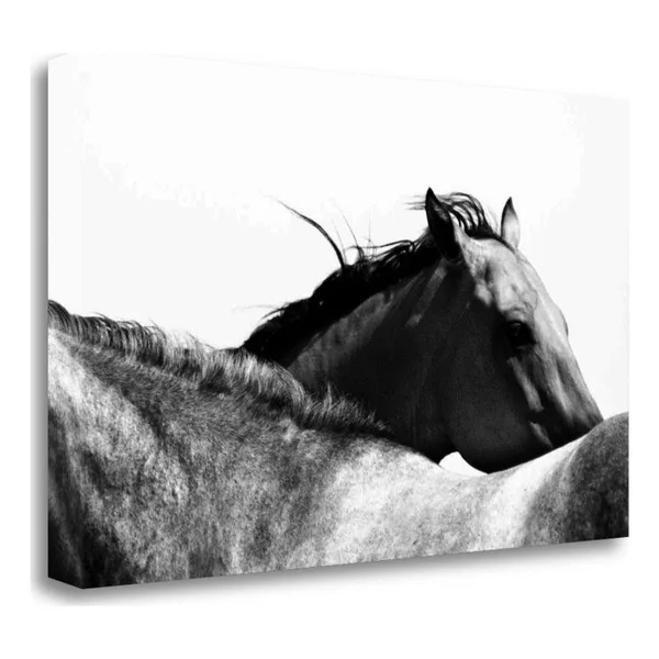 17x22 x 28x22 Wild Whispers II by Peggy Corpeny Fine Art Giclee Print