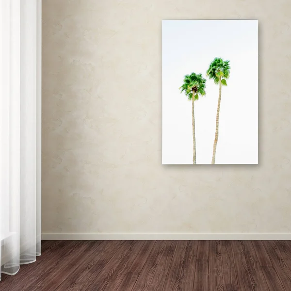Trademark Fine Art Am0303-C2232Gg Ariane Moshayedi 'Palms 4' Canvas AR