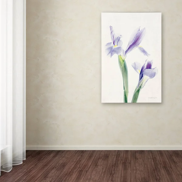 Elizabeth Urquhart 'Light and Bright Floral III' Canvas Art WAP01927-C