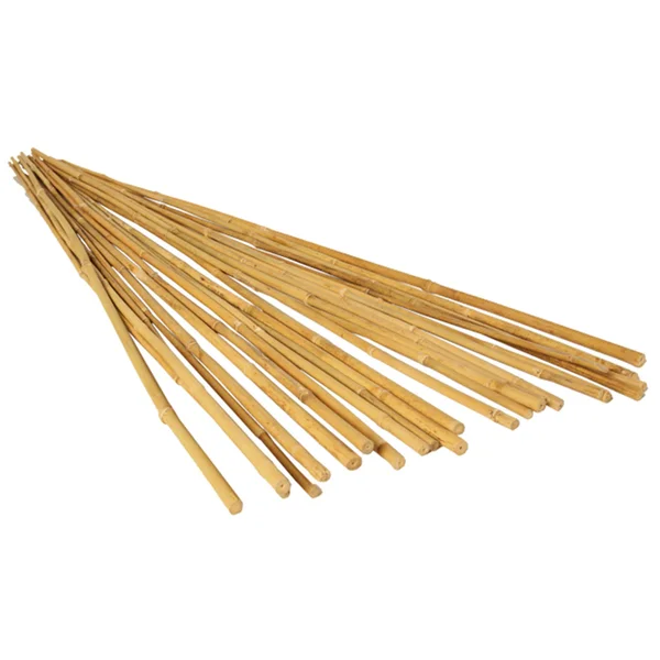 Hydrofarm HGBB8 Natural Bamboo Stakes, 8& - 25 pack